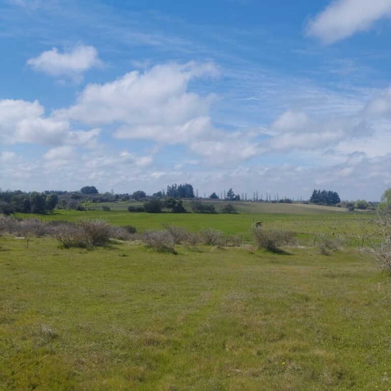 IMG-20240514-WA0045